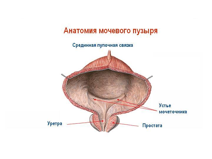 Печіння після сечовипускання у чоловіків: можливі причини