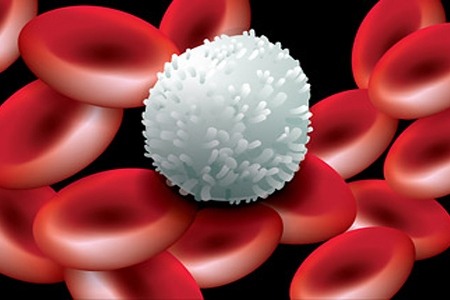 Як визначити лейкоцити в крові у чоловіка: норма і порушення