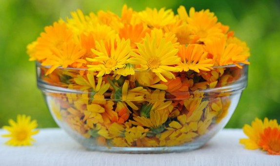 цветок календулы при лечении ринита в домашних условиях
