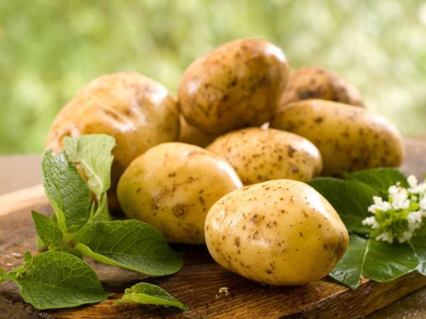 Свежие цветки картофеля
