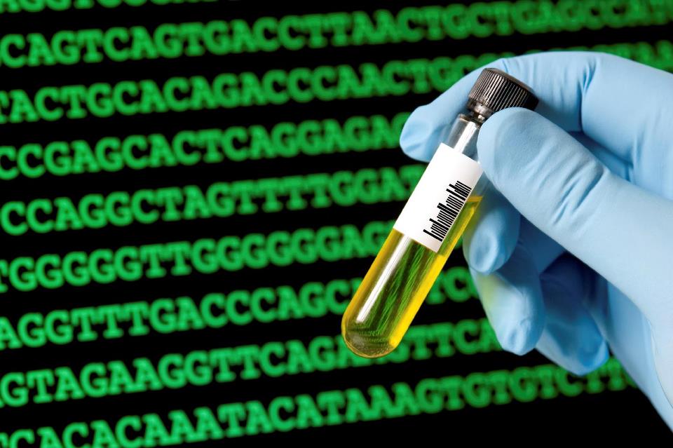 Генетический тест как вид генетической экспертизы