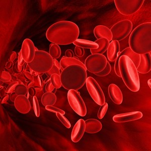 Что повышает гемоглобин в крови