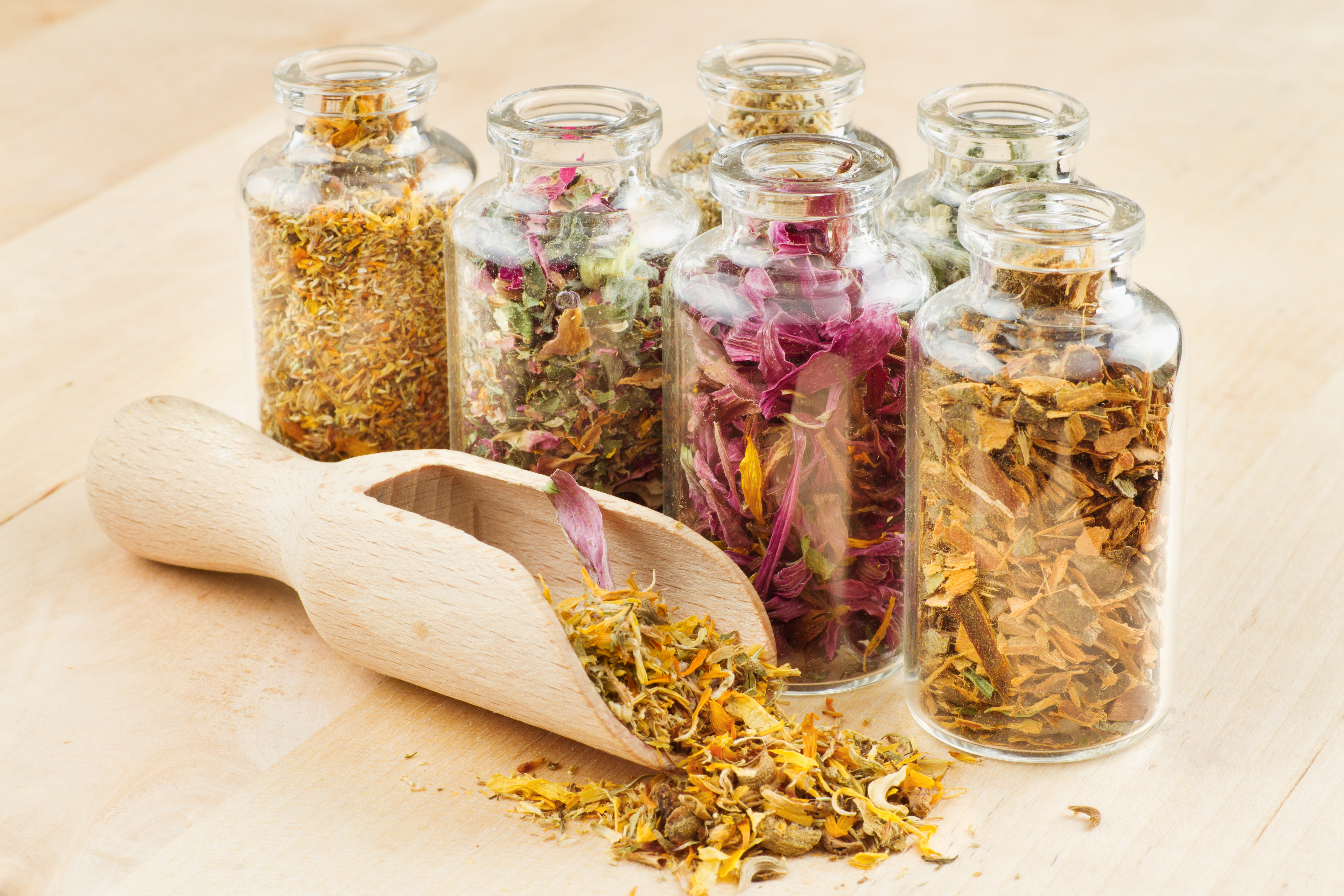 healing herbs in glass bottles and wooden scoop, herbal medicine