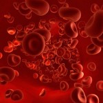 Эритроциты в крови мужчины