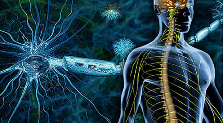 Рассеянный склероз: причины, симптомы, лечение