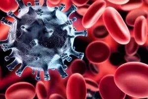 Низкий уровень лейкоцитов в крови