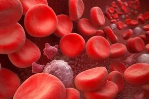 Повышенное содержание тромбоцитов в крови