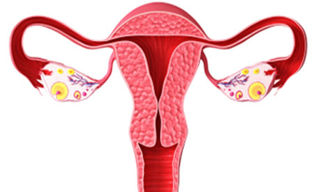 Виды нарушений менструального цикла