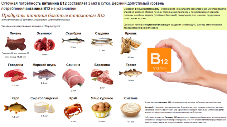 Функции витамина B12