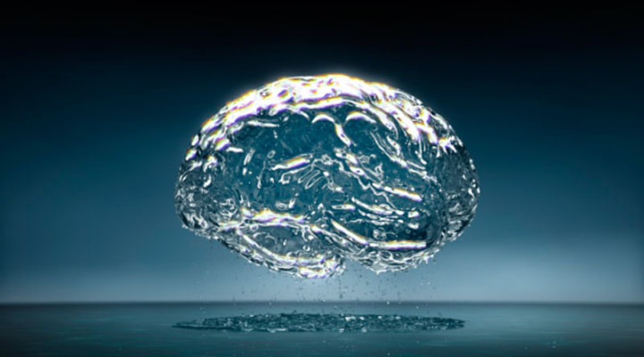 Внутренняя гидроцефалия головного мозга: признаки, диагностика, лечение