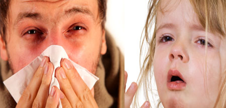 Проявления "сенной лихорадки" у детей и взрослых, фото