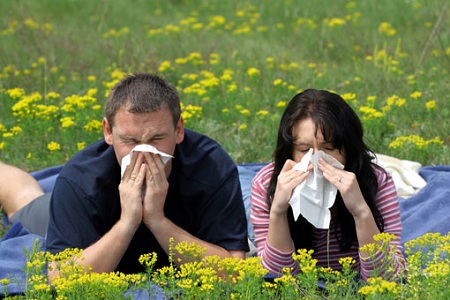 Часто аллергия возникает весной при цветении растений