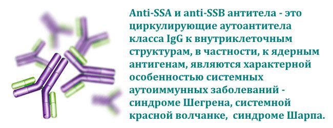 anti-ssa-i-anti-ssb-antitela