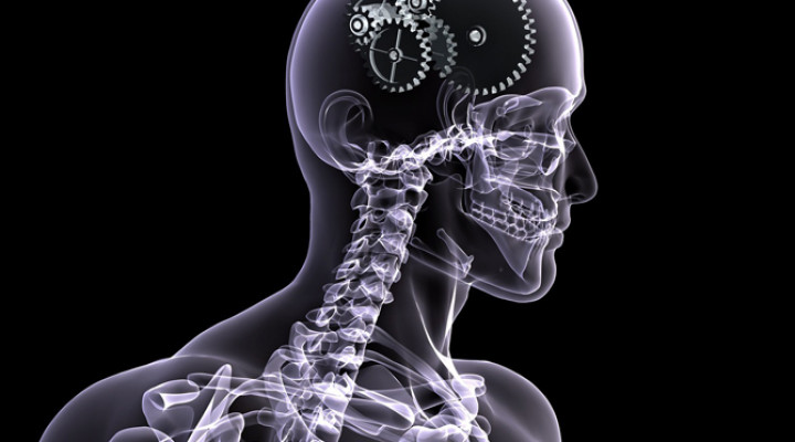 Рентгенография черепа и шейного отдела позвоночника