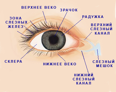 Симптомы  синдрома «сухого глаза»