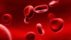 Одним из важных показателей того, что организм функционирует хорошо, является нормальный уровень гемоглобина в крови