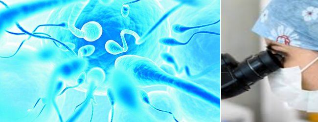 laboratornyj-analiz-spermy