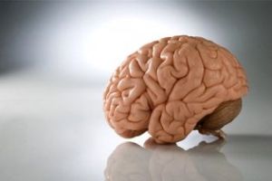 мозг и его аномалии