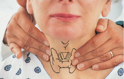 Как проводить пальпацию щитовидной железы