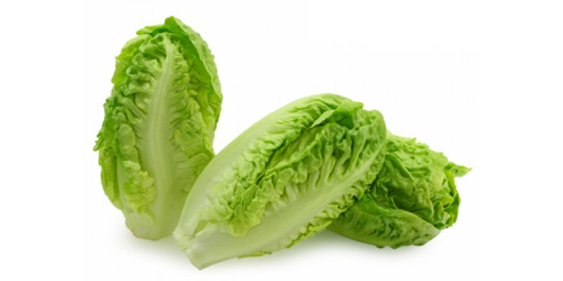 pic_lettuce1