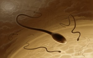 подготовка к спермограмме