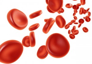 повышены лейкоциты в крови у взрослого