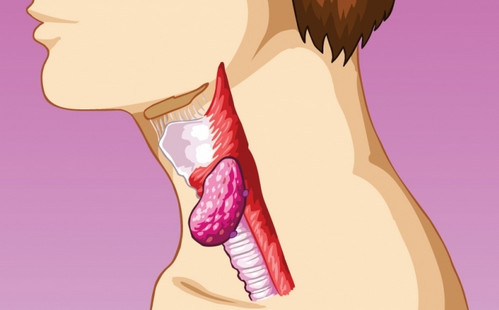 Основные причины ощущения кома в горле