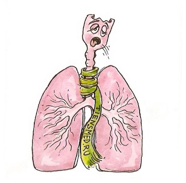 Изображение дыхательных путей