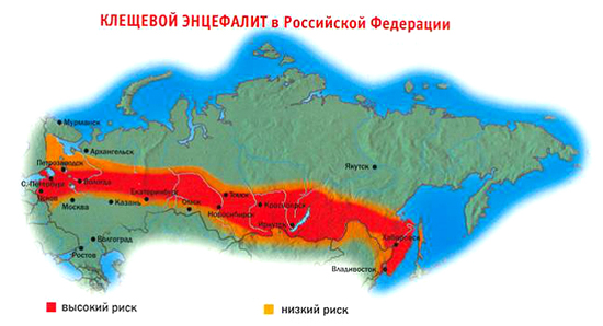 Территории РФ эндемичные по клещевому энцефалиту
