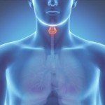 Щитовидной железы у мужчин