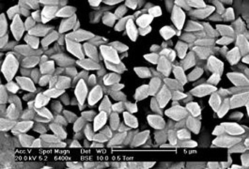 параспоровые бипирамидальные кристаллы почвенной бактерии