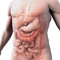 the_digestive_system[1]_200x200