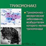 trihomoniaz_photo_bakterii