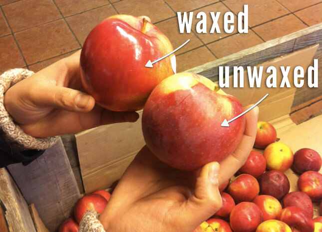 wax_apple